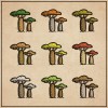 Baobab Pack (Dotty)