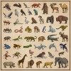 Animals Bundle (Old-school)